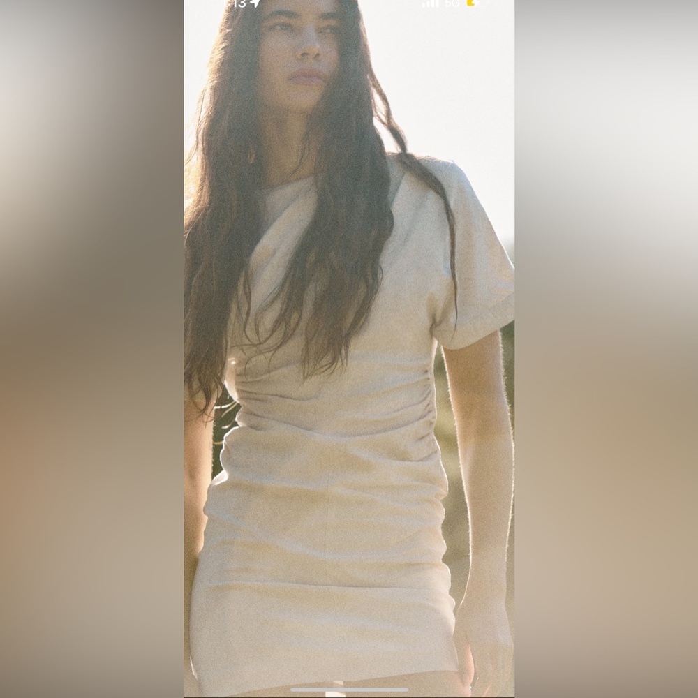Nwt Zara mini linen dress